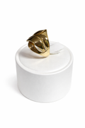 Women's 10K Gold Ring with Intertwined Leaf Design