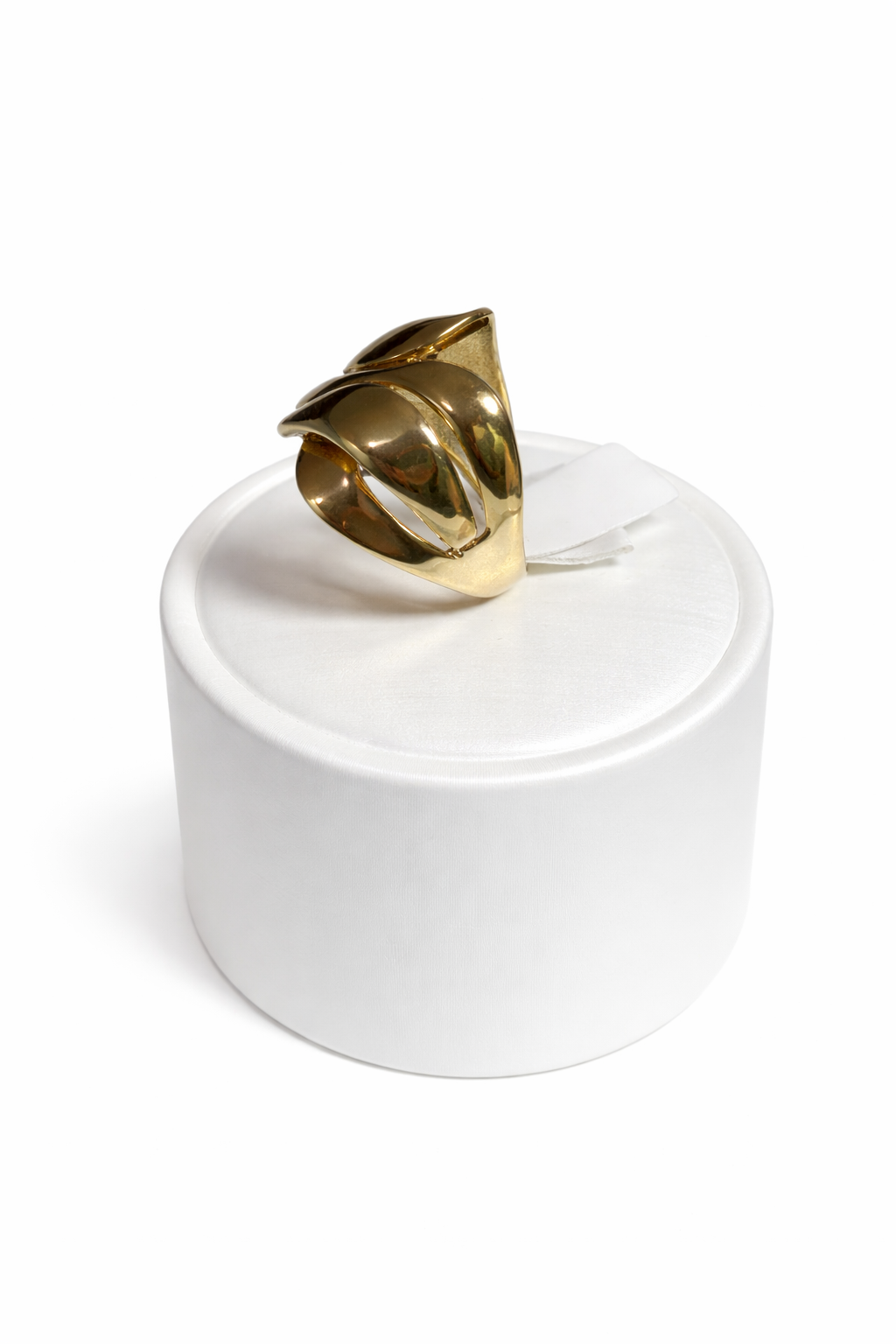 Women's 10K Gold Ring with Intertwined Leaf Design